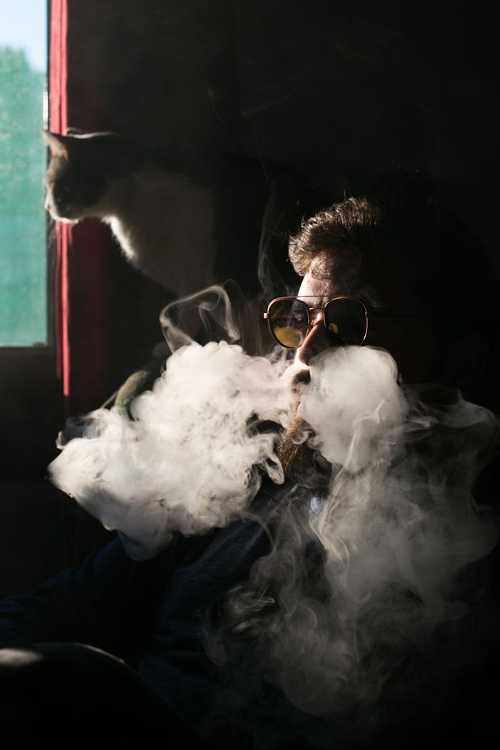 A man wearing sunglasses is vaping inside, with sunlight highlighting smoke and a cat by the window.